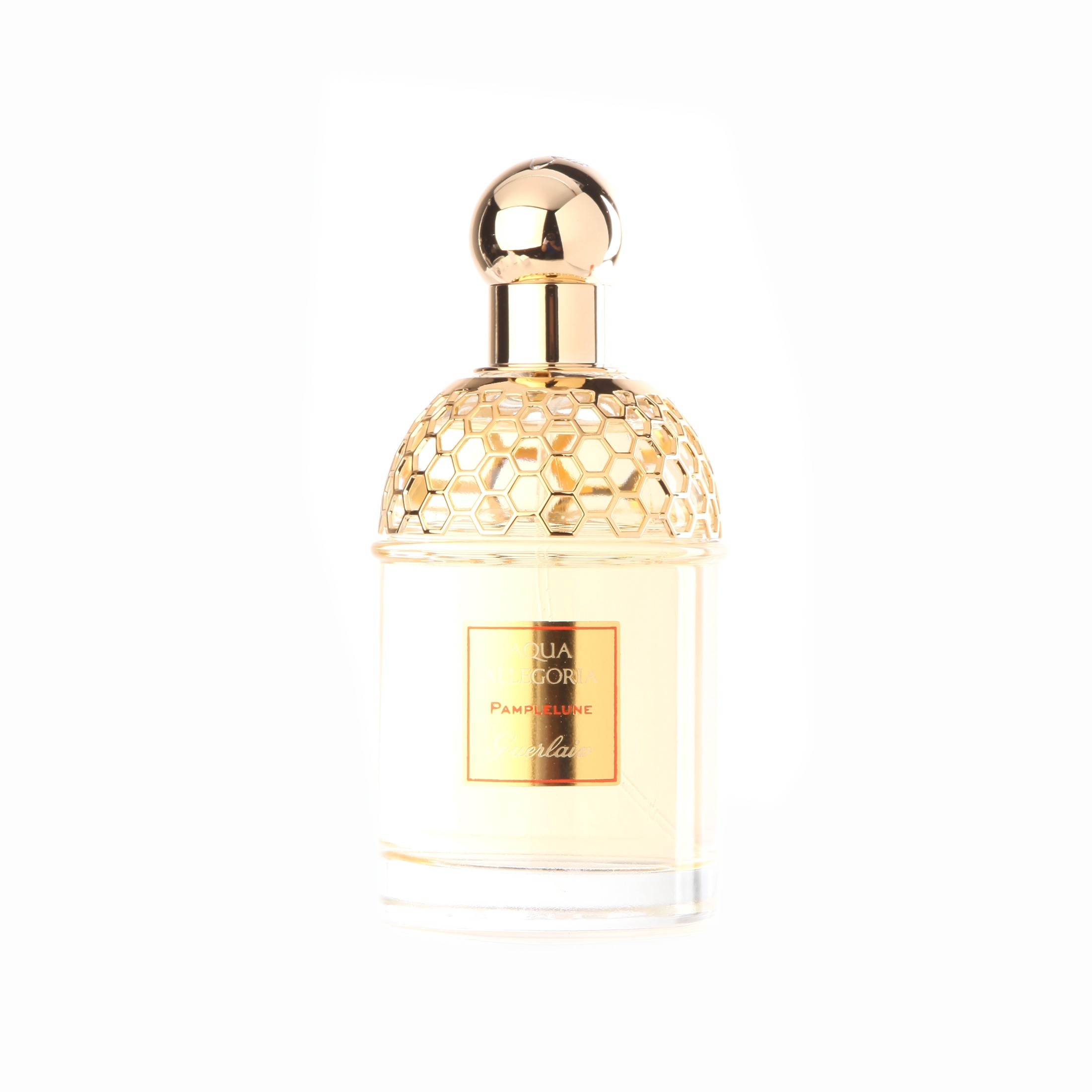 guerlain pamplelune